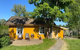Farm Stay In Cozy Cabin At Vestre Kinn